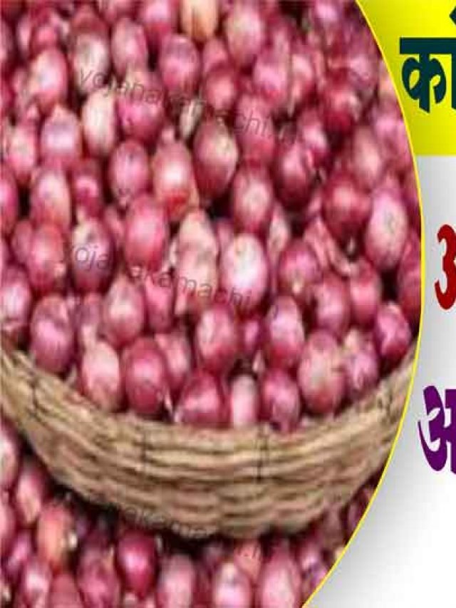 cropped-कांदा-चाळ-योजना-2022.jpg