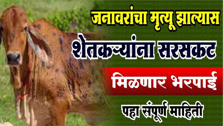 जनावरांचा मृत्यू झाल्यास सरसकट भरपाई