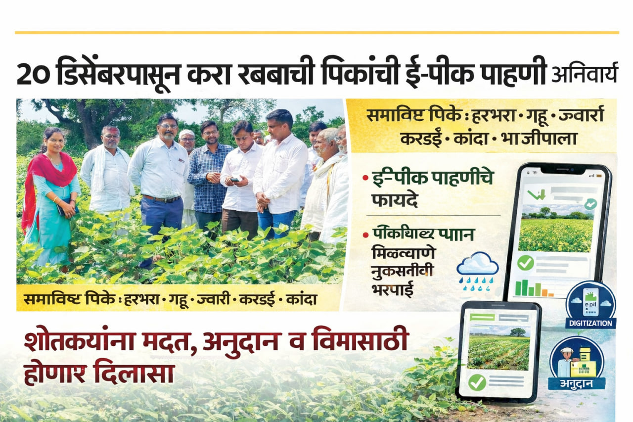 २० डिसेंबरपासून रब्बी पिकांची ई-पीक पाहणी स्वतः करता येणार