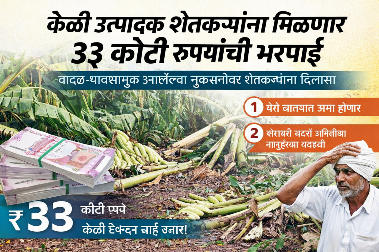 केळी उत्पादक शेतकऱ्यांना ३३ कोटी रुपयांची नुकसानभरपाई