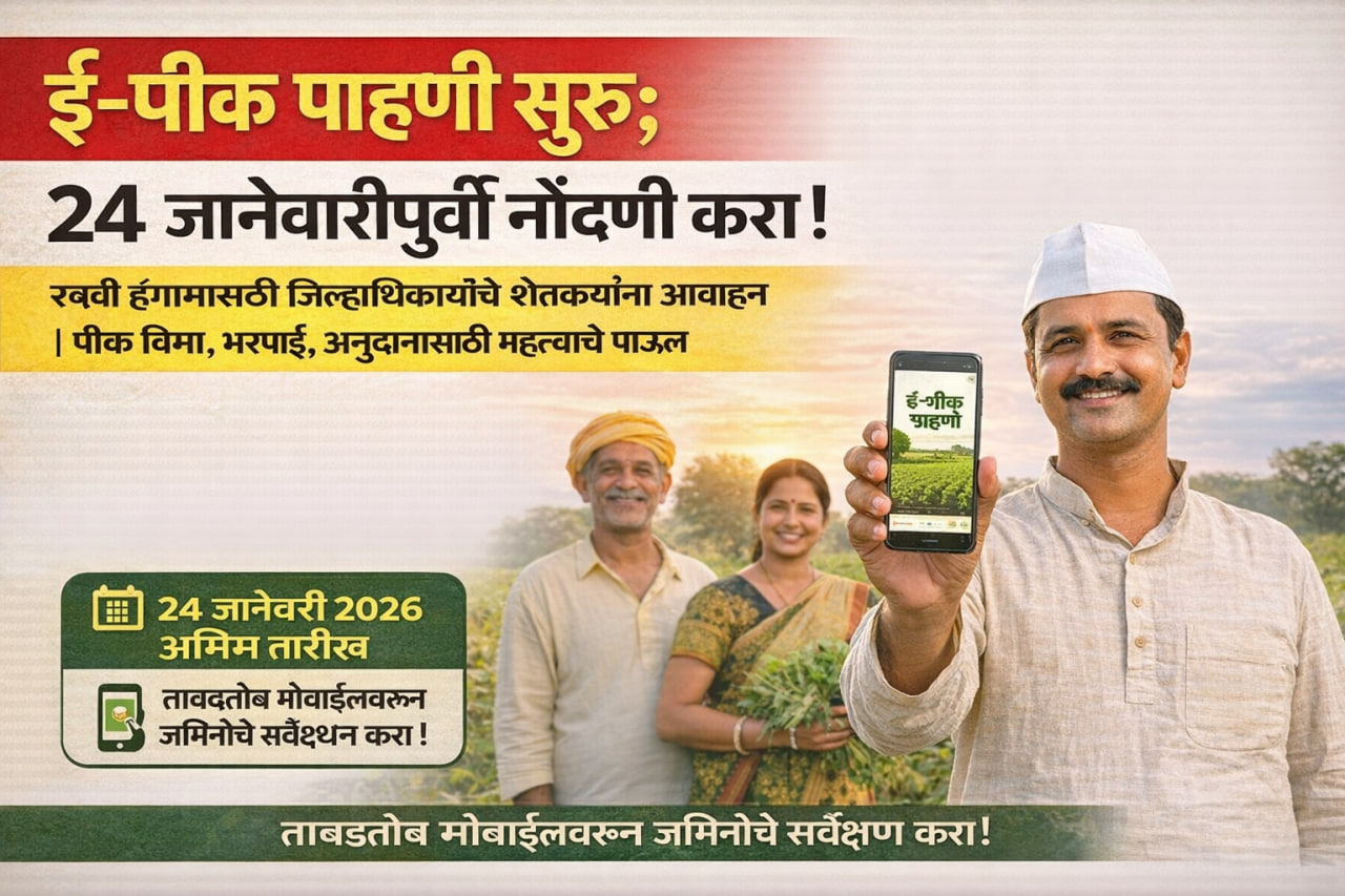 E-Crop Survey : रब्बी ई पिक पाहणी या तारखेच्या आता पूर्ण करा नाही तर मोठे नुकसान होणार