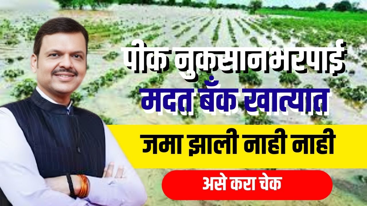 पिक नुकसान भरपाई खात्यात जमा झाली की नाही, असे करा चेक